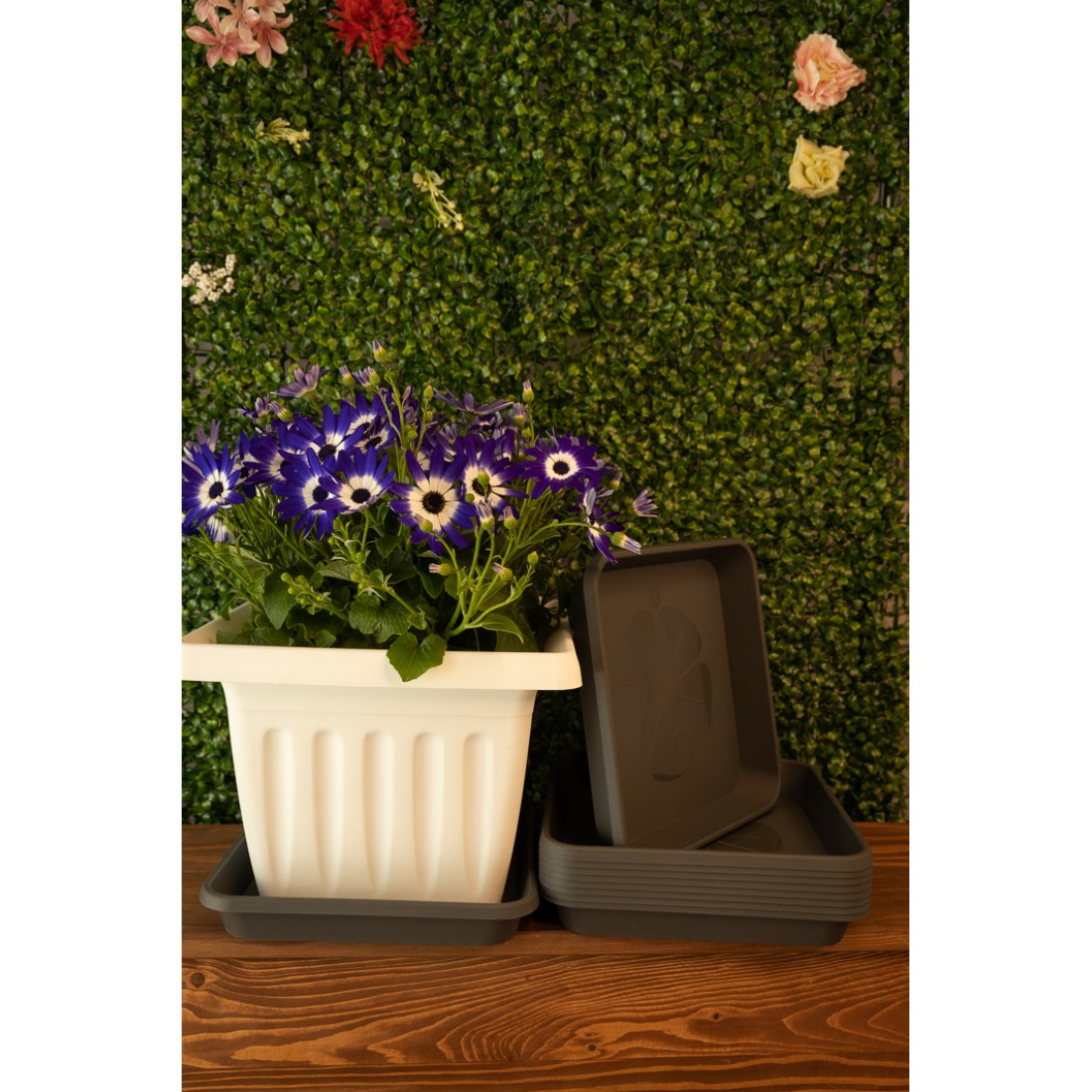 Plant Pot Saucers Square Anthracite